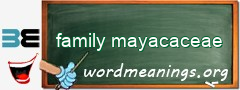 WordMeaning blackboard for family mayacaceae